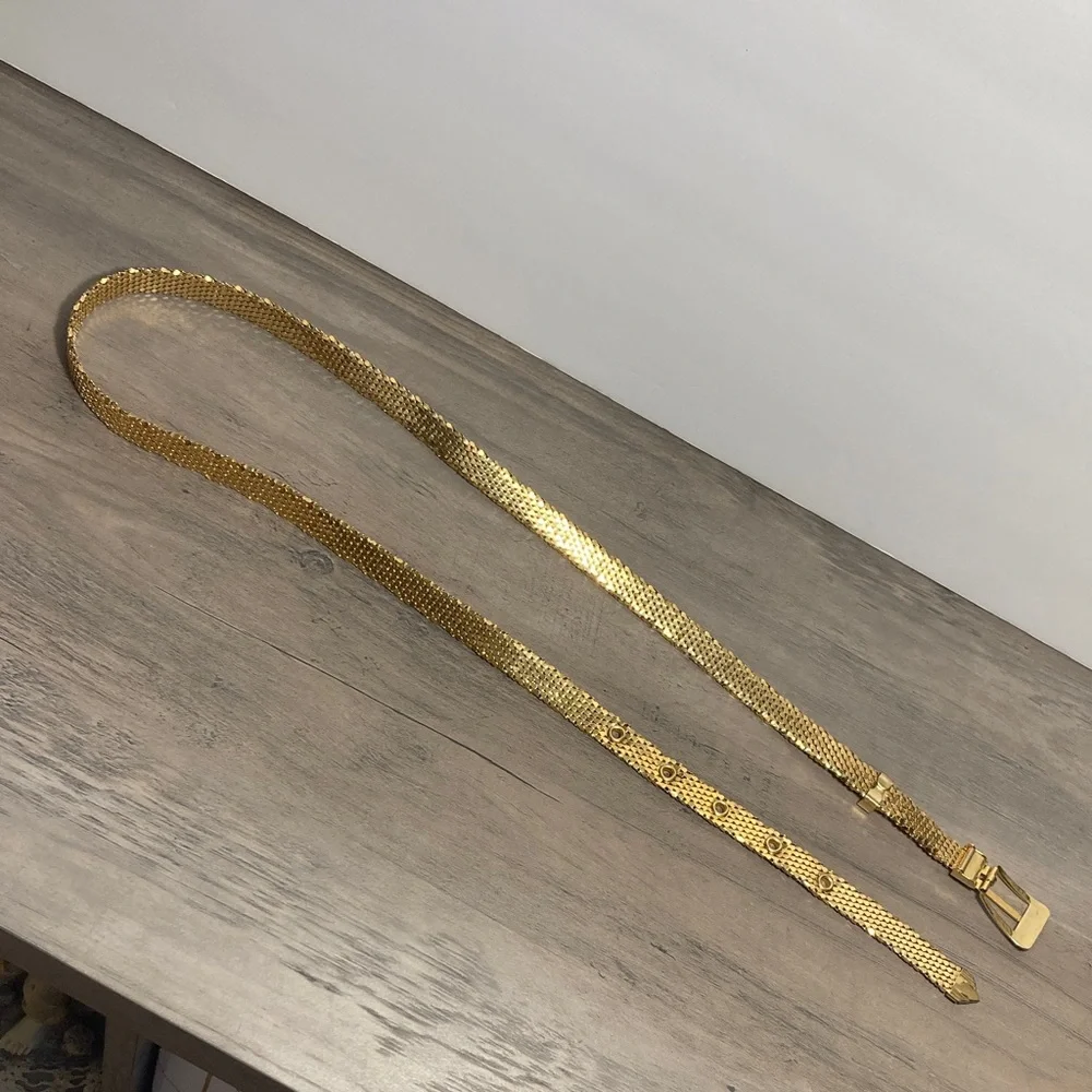 Vintage Retro Glam Serpent Scale Gold Mesh Belt